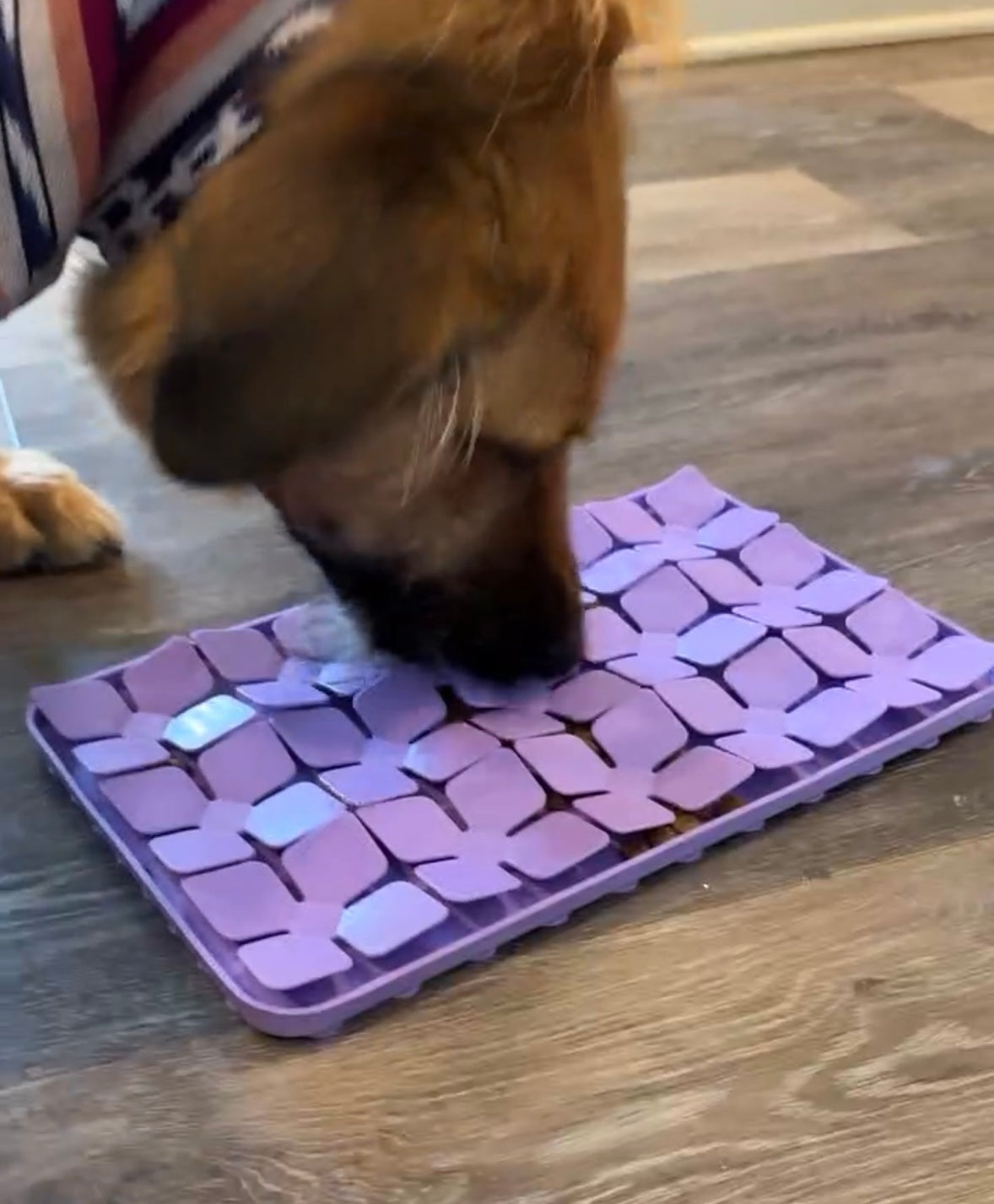 Slow Feeder / Lick Mat / Snuffle Mat- BPA Free, Food Grade Silicone Feeder (small leaf))