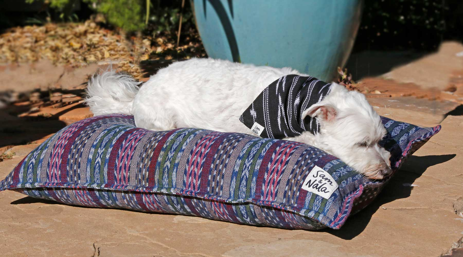 Small Dog Beds