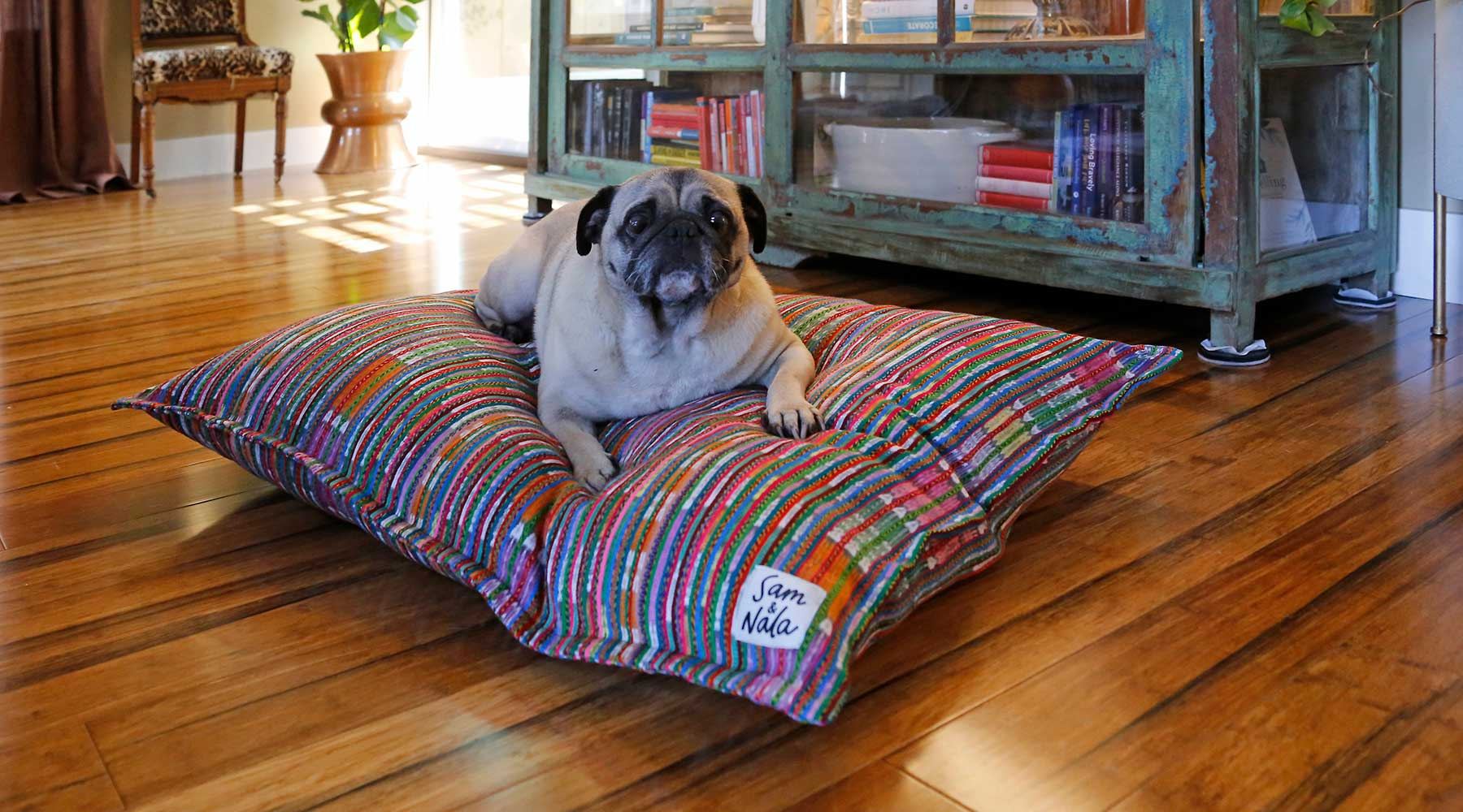 Medium Dog Beds