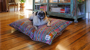 Medium Dog Beds