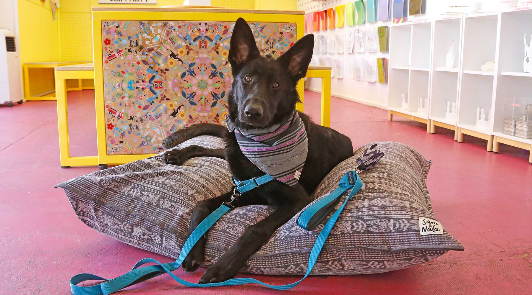 Large Dog Bed