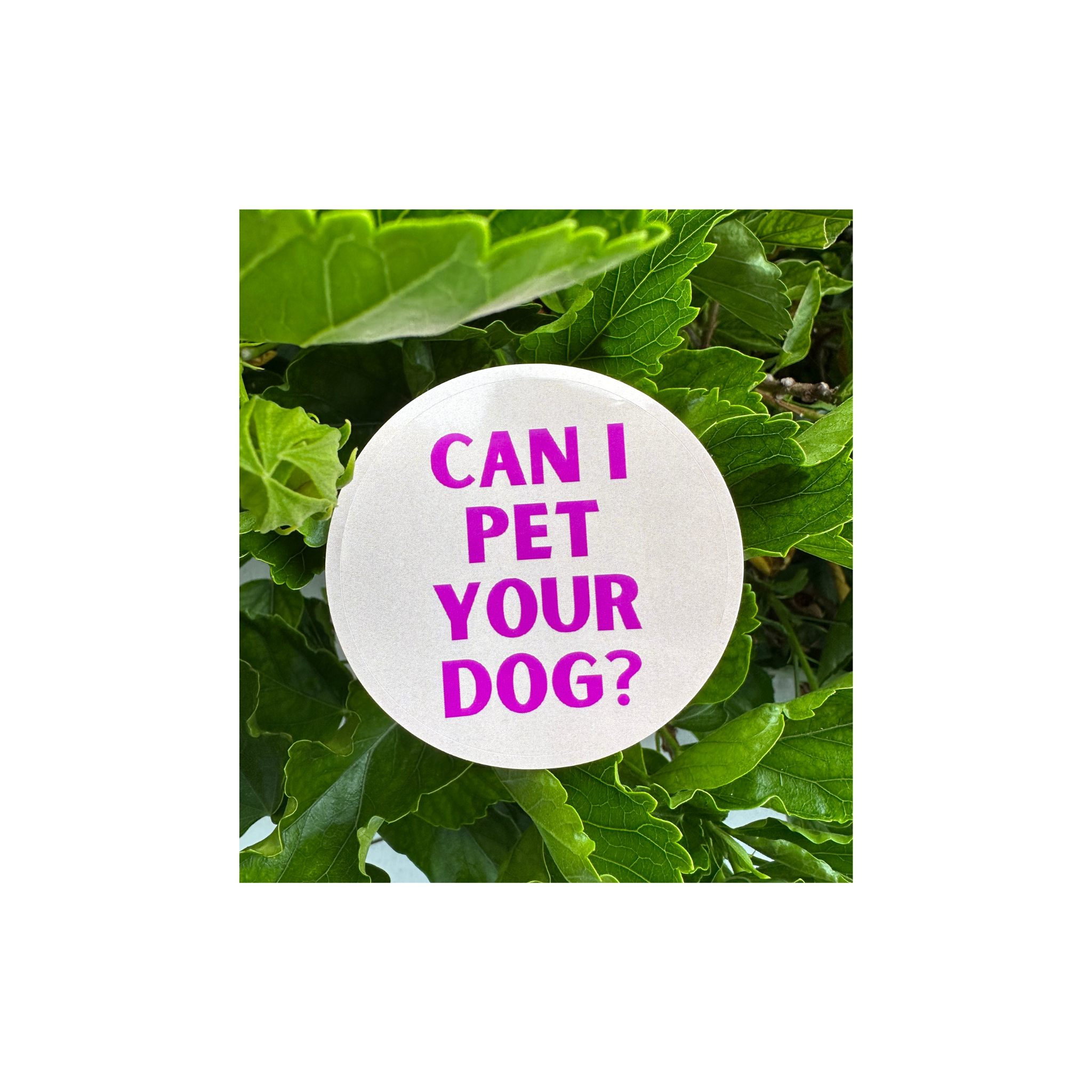 Can I Pet Your Dog- Vinyl Sticker