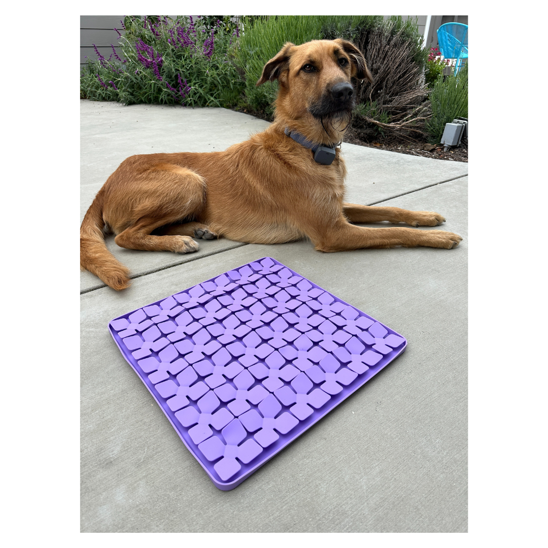 Slow feeder mat new arrivals