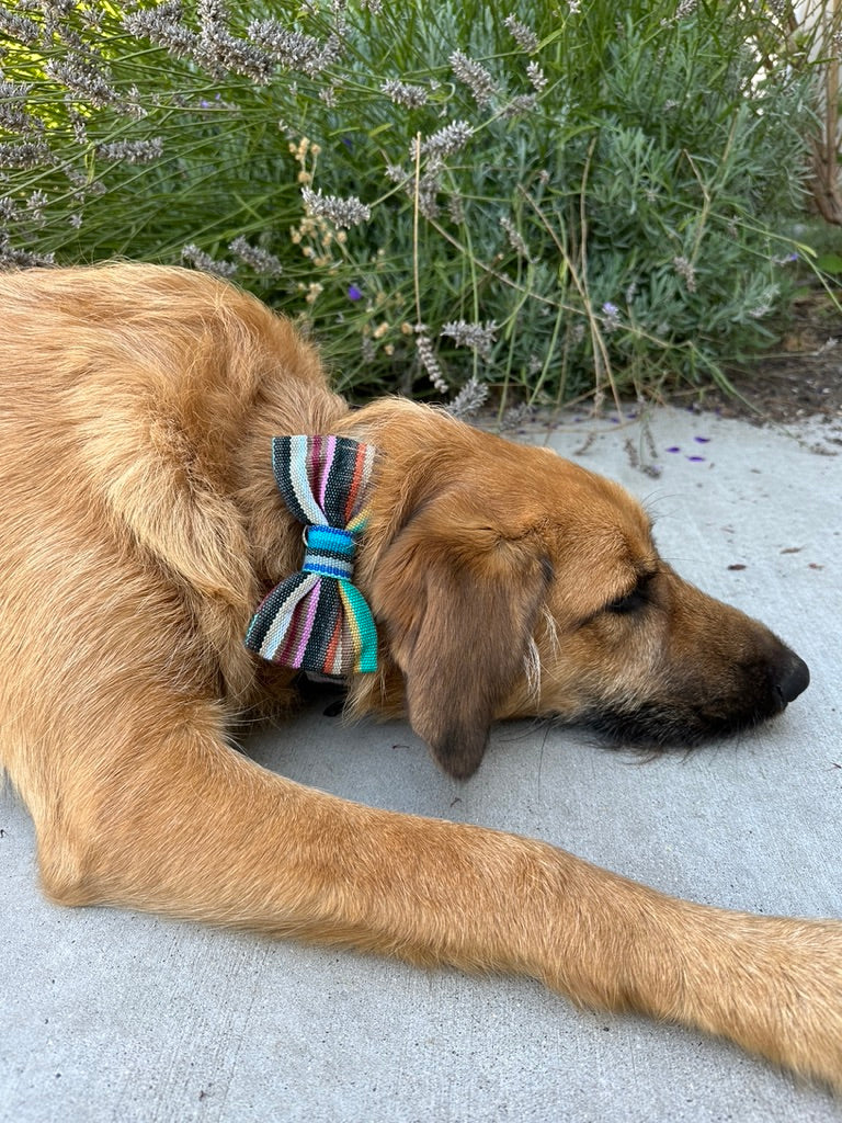 Handwoven Pet Bow Tie-Spring Hill