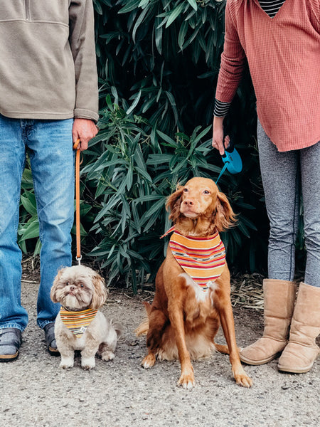 Intentional goods for pets & their people. – Sam & Nala