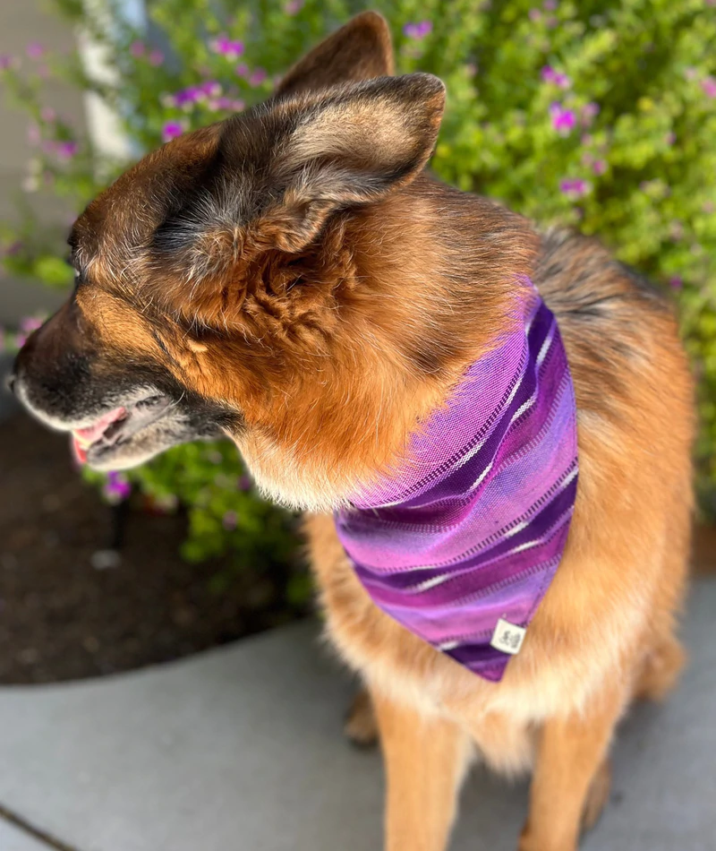 Hand Woven Purple Haze Dog Bandana