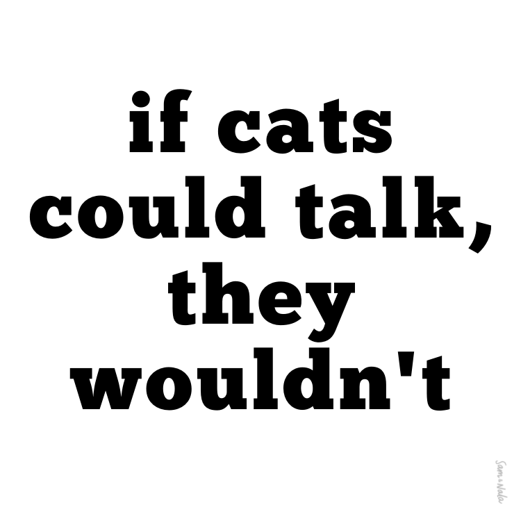 If Cats Could Talk Vinyl Sticker